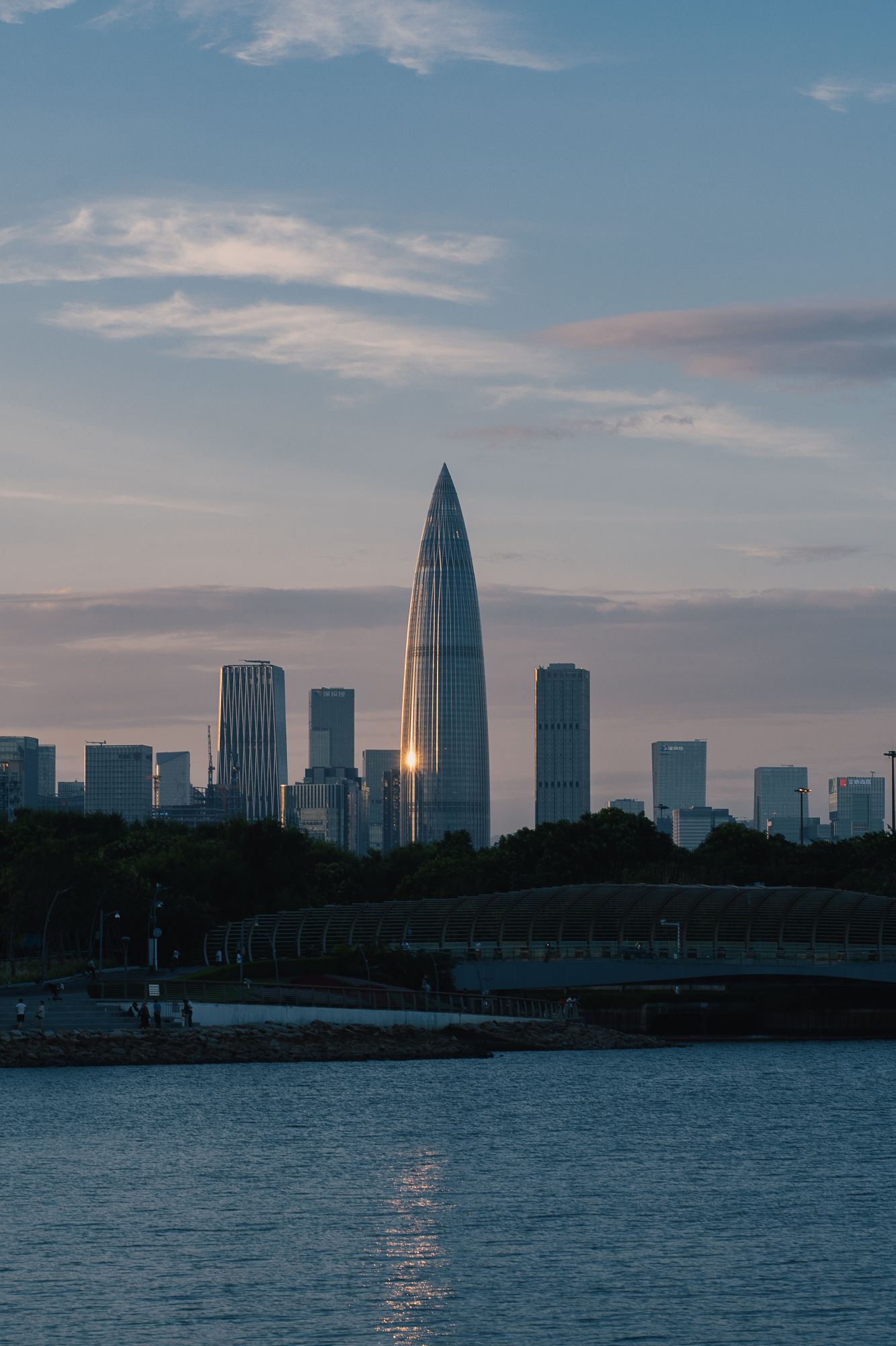 The Shenzhen Signature · real reference photograph